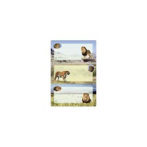 HERMA tiquettes pour livres "Camelon", 76 x 35 mm