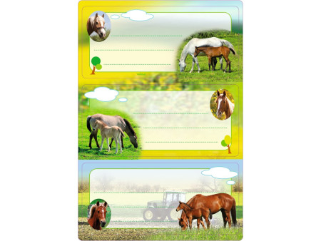 HERMA Étiquette pour livre 'Chevaux', 76 x 35 mm