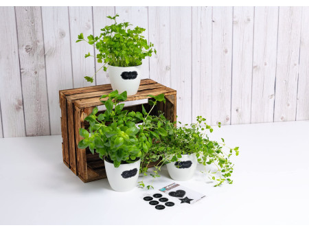 HERMA Etiquettes pour tableau HOME feeling 'rectangle'
