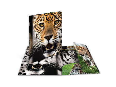 HERMA Chemise à élastique 'Leopard', transparent, en PP,