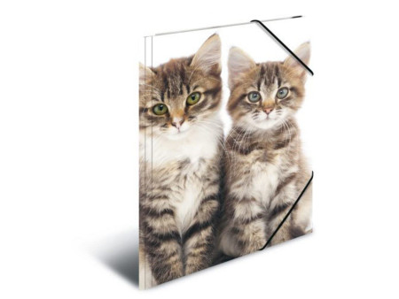 HERMA chemise élastique 'chats', transparent, en PP, A4,