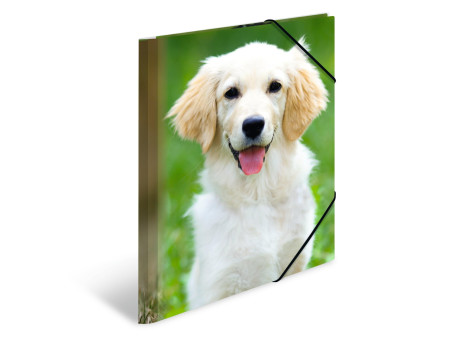 HERMA Chemise élastique 'chiens', transparent, en PP, A4,
