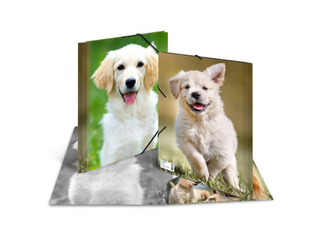 HERMA Chemise élastique 'chiens', transparent, en PP, A4,