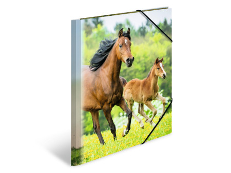 HERMA Chemise élastique 'chevaux', transparent, en PP, A4