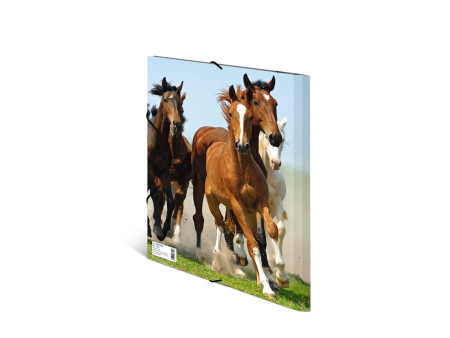 HERMA Chemise élastique 'chevaux', transparent, en PP, A4