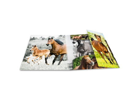 HERMA Chemise élastique 'chevaux', transparent, en PP, A4