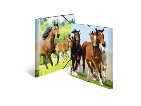 HERMA Chemise élastique 'chevaux', transparent, en PP, A4