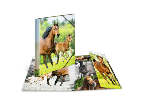 HERMA Chemise élastique 'chevaux', transparent, en PP, A4