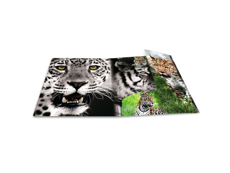 HERMA Chemise à élastique 'léopard', en PP, A3,