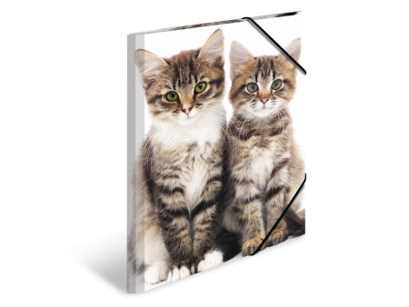 HERMA chemise élastique 'chats', en PP, A3