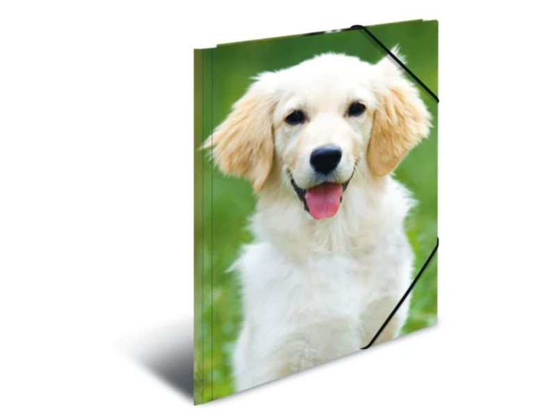 HERMA chemise élastique 'chiens', en PP, A3,