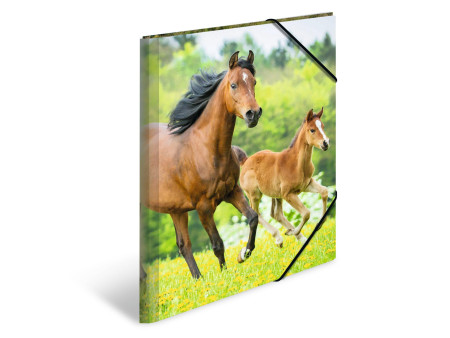 HERMA chemise élastique 'chevaux', en PP, A3,