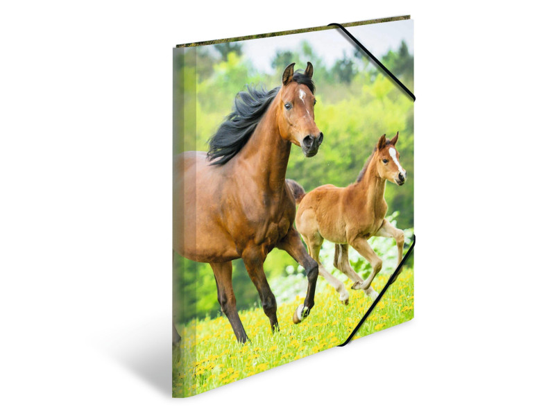 HERMA chemise élastique 'chevaux', en PP, A3,