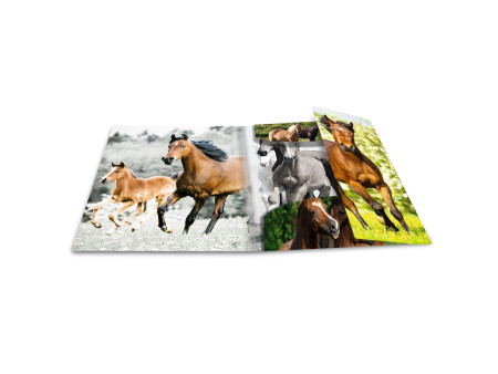 HERMA chemise élastique 'chevaux', en PP, A3,