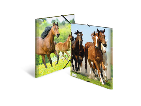 HERMA chemise élastique 'chevaux', en PP, A3,