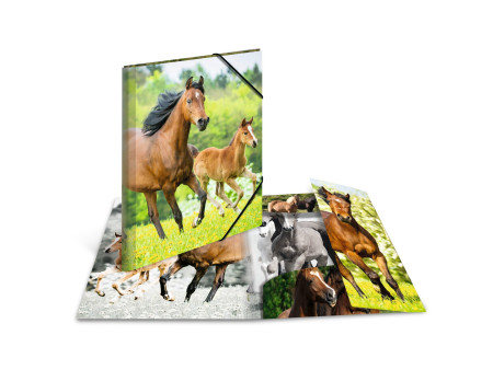 HERMA chemise élastique 'chevaux', en PP, A3,