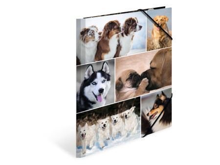 HERMA Chemise à élastiques 'chiens', en carton,