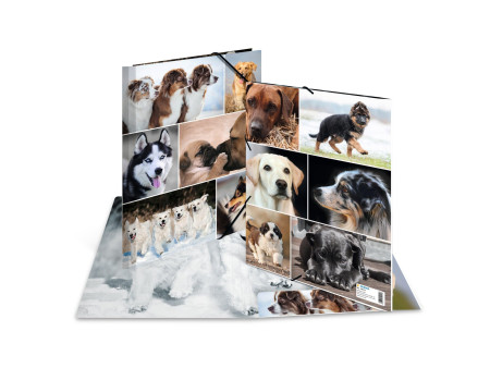 HERMA Chemise à élastiques 'chiens', en carton,