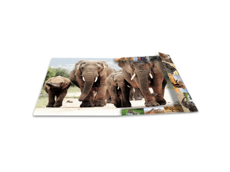 HERMA Chemise à élastiques 'animaux d'Afrique', carton, A3
