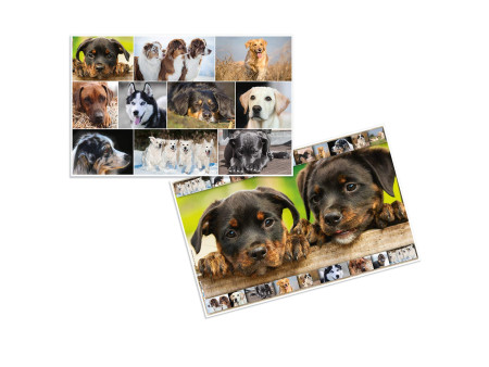 HERMA Sous-main 'Chiens', (L)550 x (H)350 mm