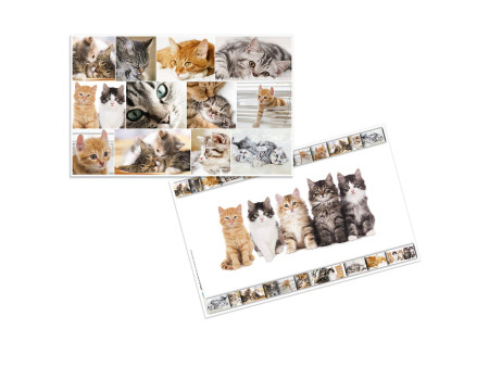 HERMA Sous-main 'Chats', (L)550 x (H)350 mm