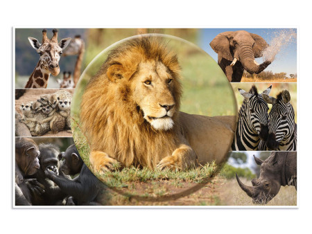 HERMA Sous-main 'Animaux d'Afrique', (L)550 x (H)350 mm