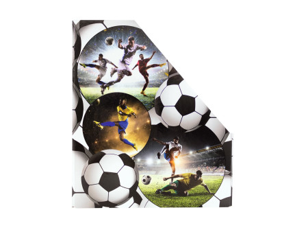 HERMA Porte-revue 'Football', A4, carton, (L)85 mm