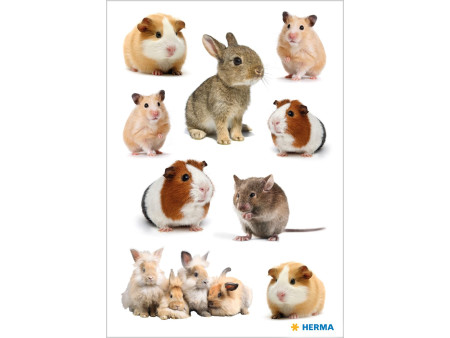 HERMA Sticker MAGIC Famille de rongeurs, papier