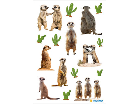HERMA Sticker MAGIC Suricates, papier
