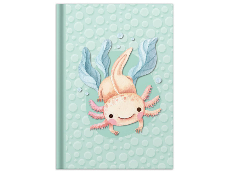 RNK Verlag Carnet de notes 'Axolotl', A5, 96 feuilles