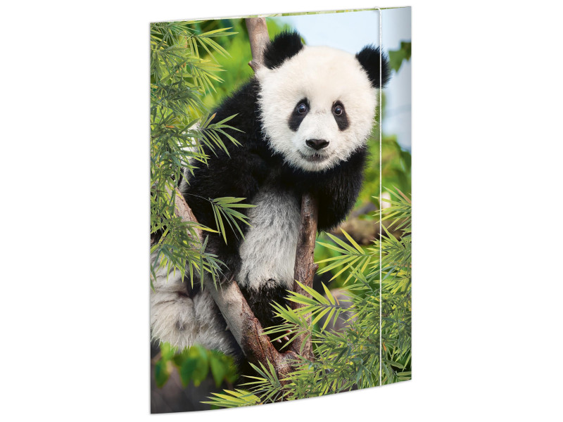 RNK Verlag Carton à dessin 'Panda', A3
