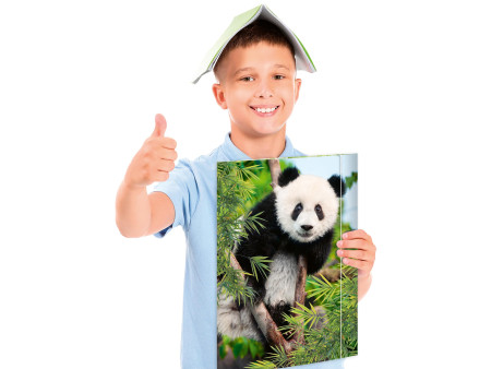 RNK Verlag Carton à dessin 'Panda', A3