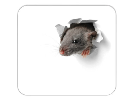 RNK Verlag Bloc tapis de souris 'Souriceau', 240 x 220 mm