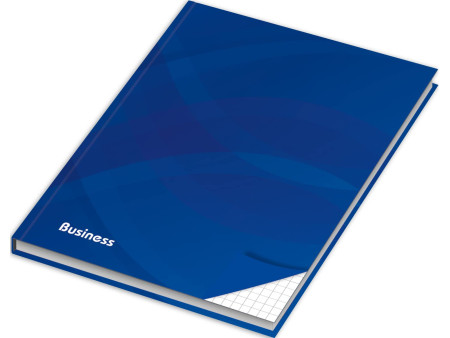 RNK Verlag Cahier 'Business bleu', A4, quadrillé