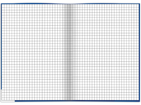 RNK Verlag Cahier 'Business bleu', A4, quadrillé