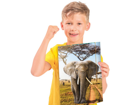 RNK Verlag Carton à dessin 'Élephant', A3