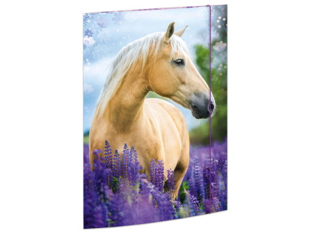 RNK Verlag Carton à dessin 'Cheval', A3