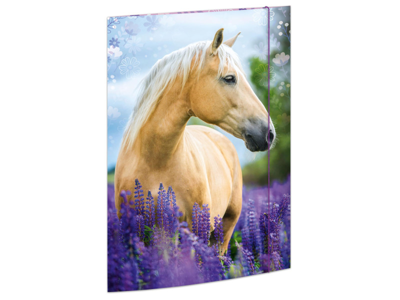 RNK Verlag Carton à dessin 'Cheval', A3