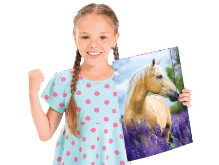 RNK Verlag Carton à dessin 'Cheval', A3