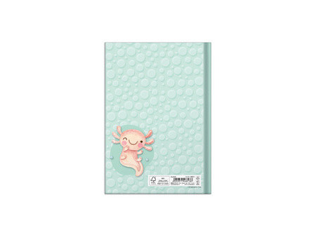 RNK Verlag Carnet de notes 'Colibri', A5, 96 feuilles