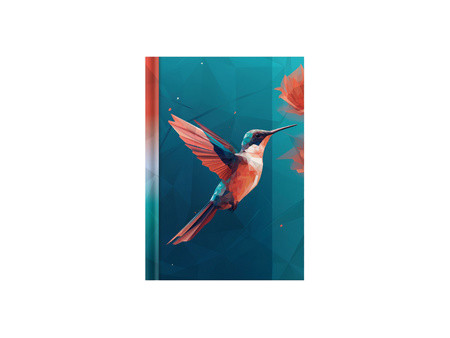 RNK Verlag Carnet de notes 'Colibri', A5, 96 feuilles