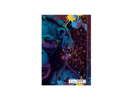 RNK Verlag Carnet de notes 'Dauphin', A4, 96 feuilles, uni