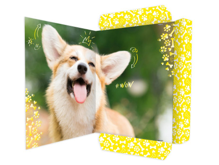 RNK Verlag Carton à dessin 'Corgi', carton, A3