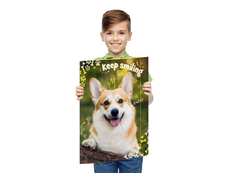 RNK Verlag Carton à dessin 'Corgi', carton, A3