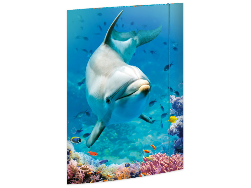 RNK Verlag Carton à dessin 'Dauphin', carton, A3