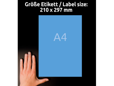 AVERY Zweckform Etiquette universelle, 210 x 297 mm, bleu