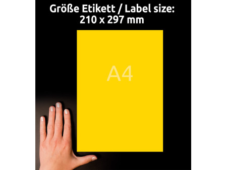 AVERY Zweckform Etiquette universelle, 210 x 297 mm, jaune