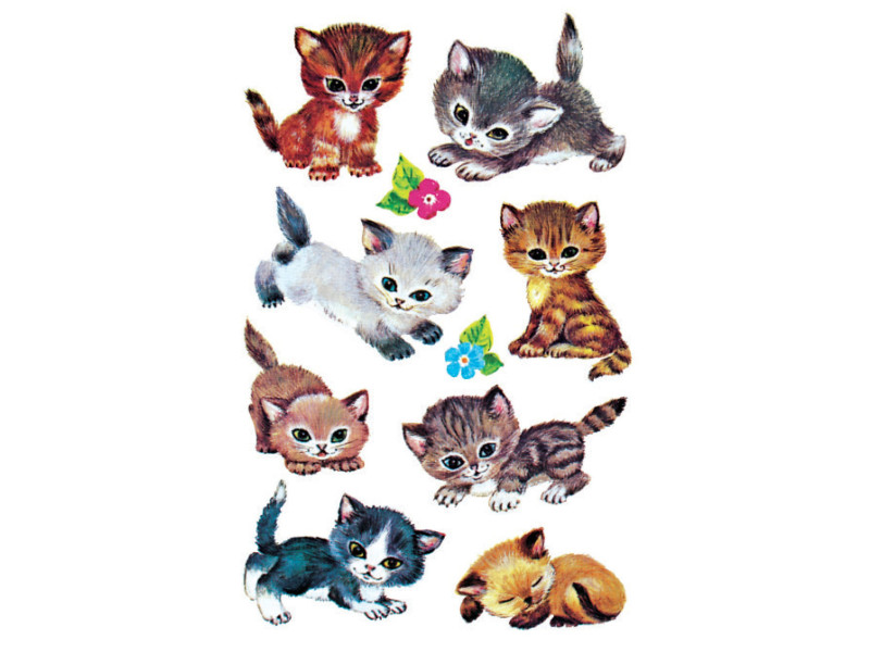 ZDesign KIDS Sticker 'chats'