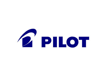 PILOT Recharge pour roller FRIXION POINT BLS-FRP5, rose