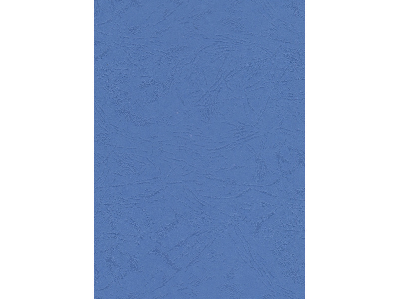 pavo Plats de couverture, grain cuir, A4, bleu